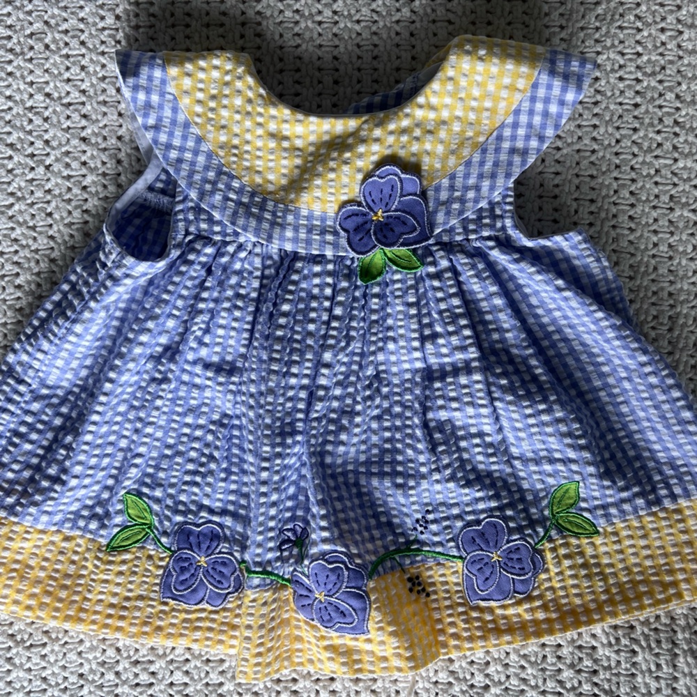 6-9 month blue checker dress with floral appliqué